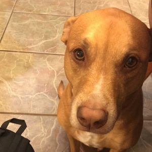 Meet your Posher, Blaise